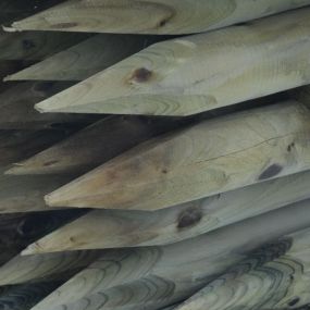 Pfähle Pfosten
